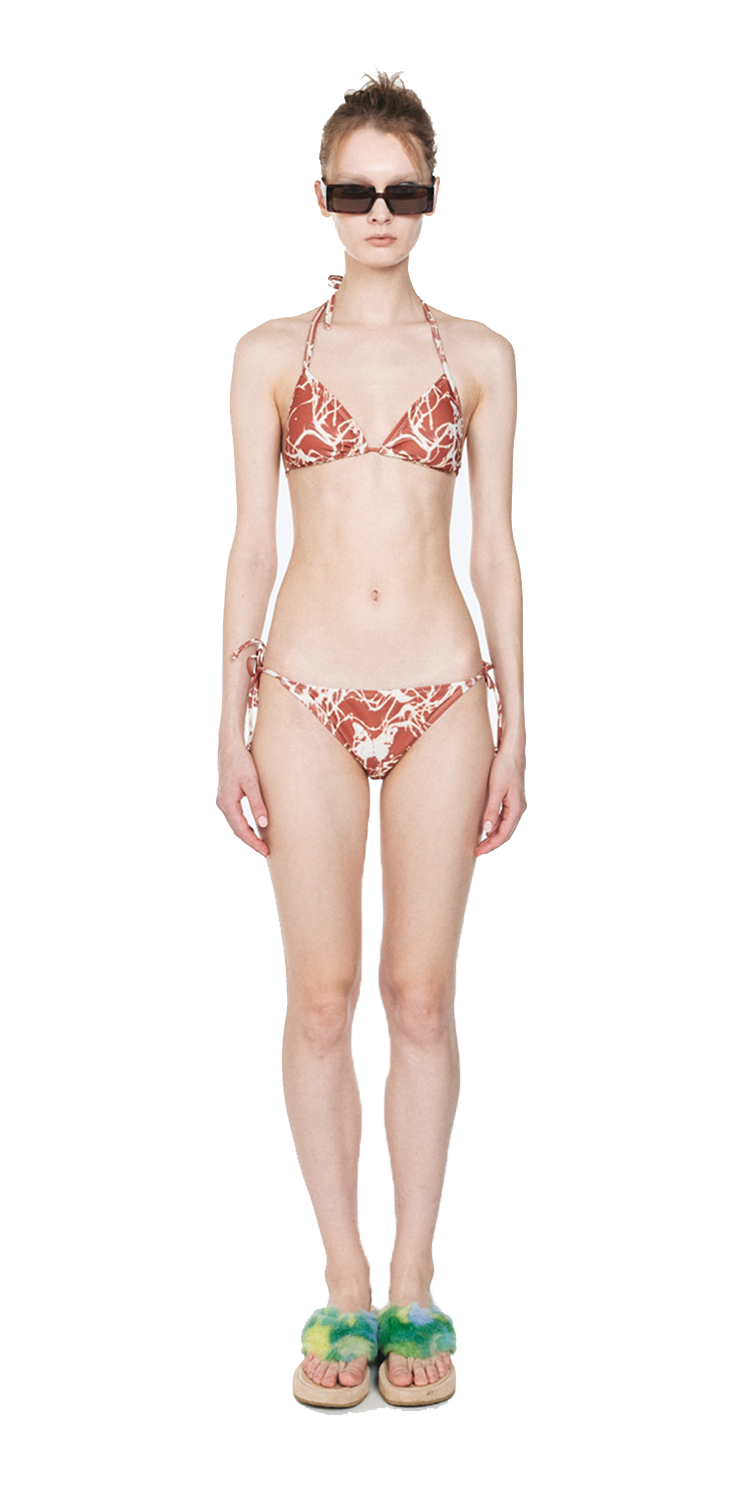 Butterfly graphic bikini top (BROWN)